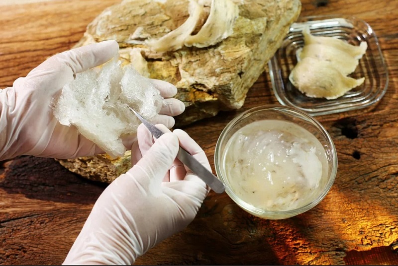 Bagus untuk Meningkatkan Gairah Seks, Sarang Burung Walet Laris Manis di China : Okezone Lifestyle